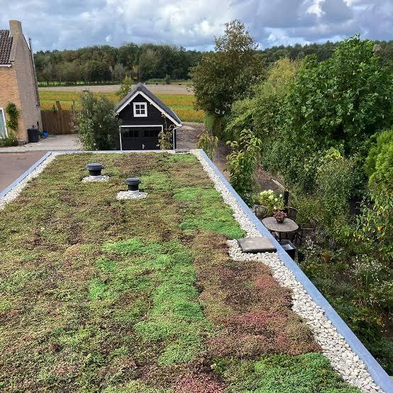 Tuinonderhoud, Sedum plaatsen, Terrein onderhoud, Tuinonderhoud of Snoeiwerk