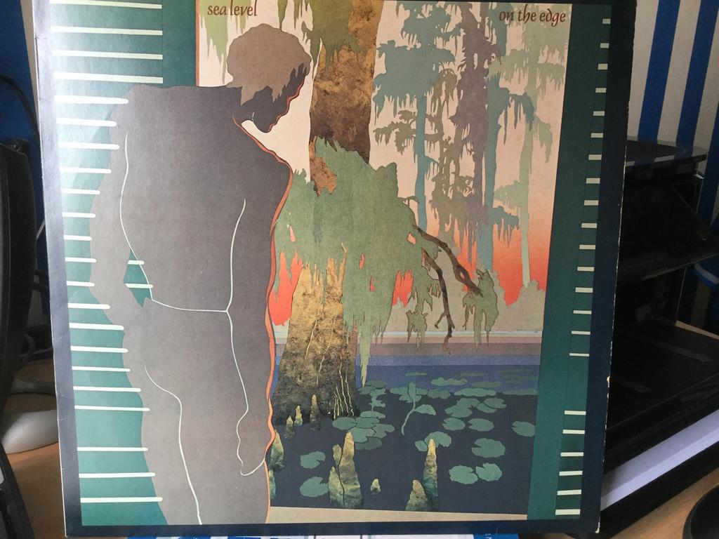 Sea Level-On the edge. Prima vinylplaat., Cd's en Dvd's, Ophalen of Verzenden, Gebruikt, 12 inch