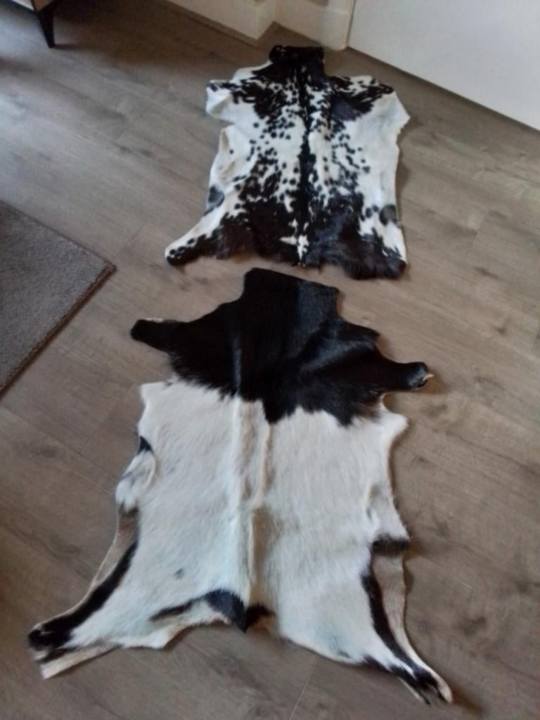 Prachtige (Zwart/Witte) Geitenvacht 88cm/110cm, Ophalen of Verzenden, Nieuw