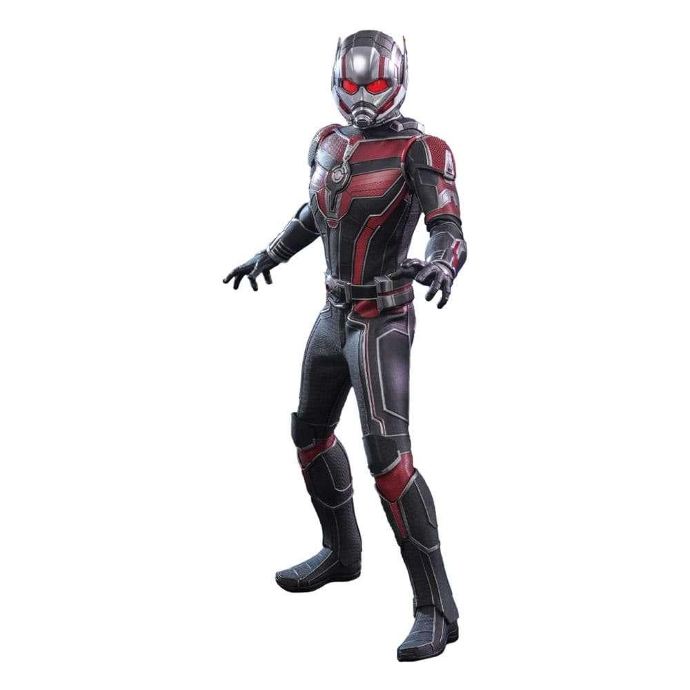 Ant-Man & The Wasp Quantumania Ant-Man Hot Toys, Ophalen of Verzenden, Nieuw