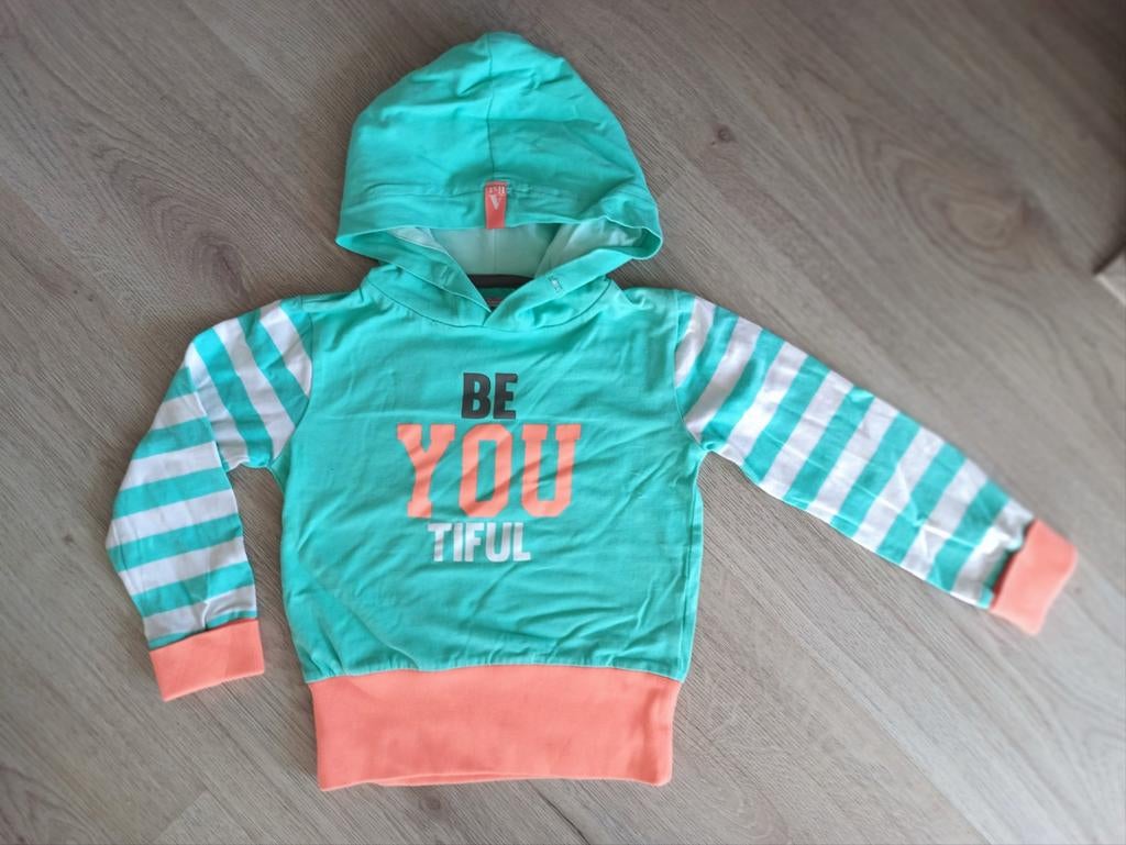 Leuke hoodie Europe Kids maat 110/116, Kinderen en Baby's, Kinderkleding | Maat 110, Europe Kids, Meisje, Trui of Vest, Ophalen of Verzenden