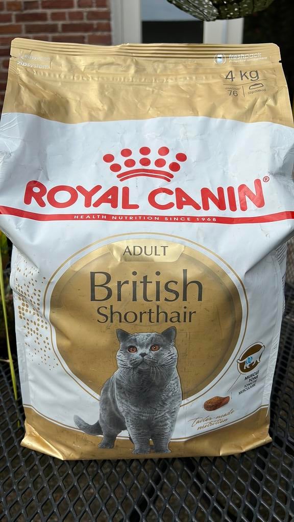Royal Canin  Adult British Shorthair katten brokken, Dieren en Toebehoren, Ophalen, Kat