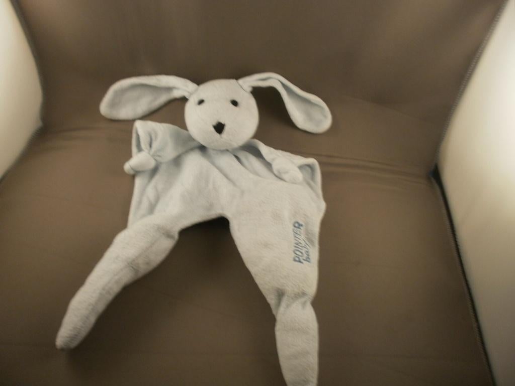 pointer baby hond licht blauw velours neus/ogen zwart, Ophalen of Verzenden, Zo goed als nieuw, Hond