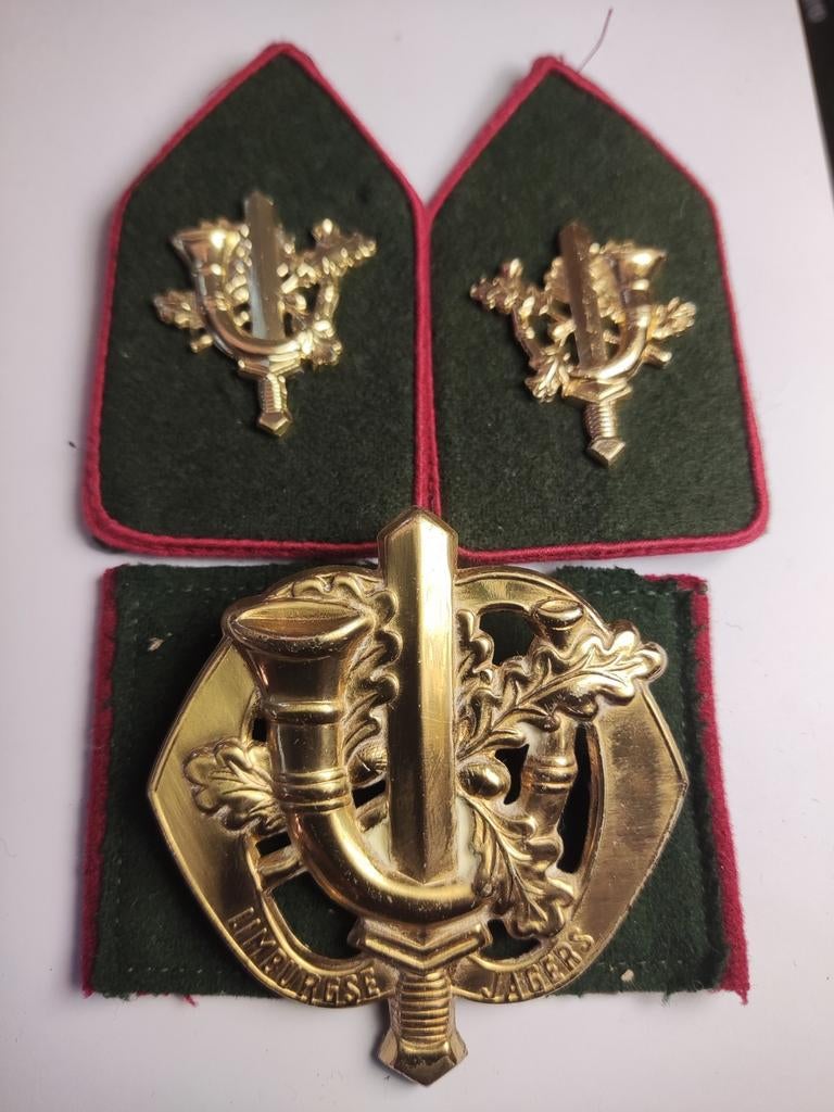 Setje Limburgse Jagers, Verzamelen, Ophalen of Verzenden, Landmacht, Nederland, Embleem of Badge