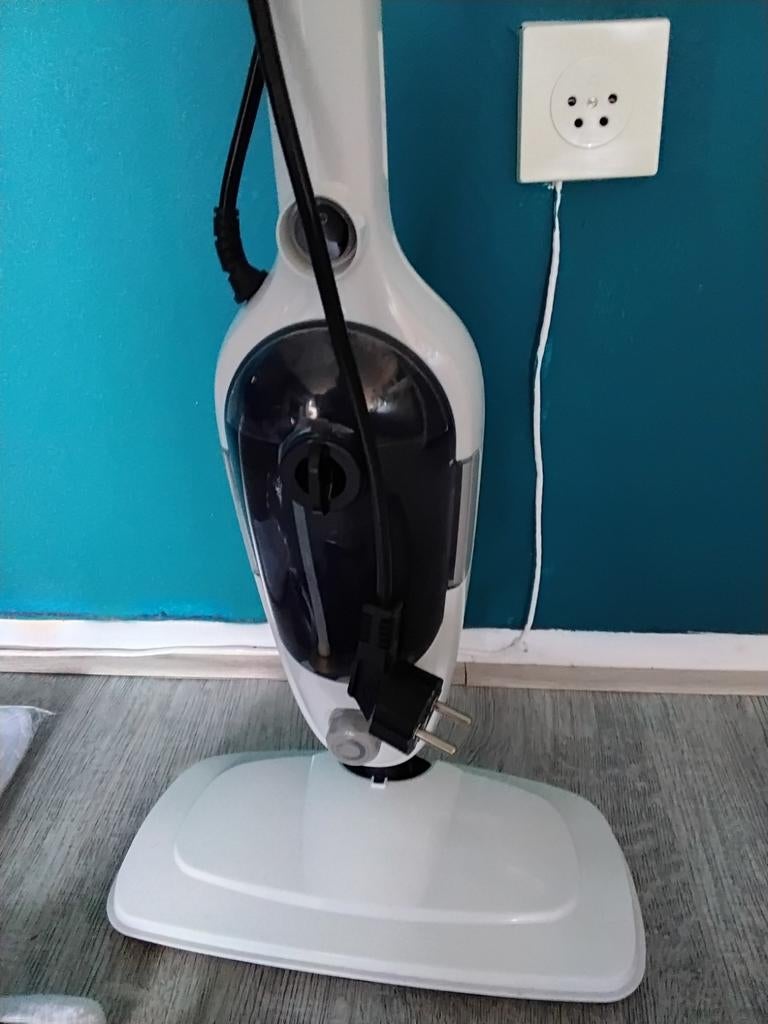 Witte stoomreiniger met accessoires, Ophalen