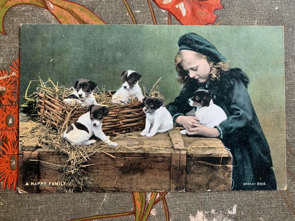 1905 A happy family - Meisje met puppy’s, hondjes (SL), Ophalen of Verzenden, Voor 1920, Gelopen, Hond of Kat