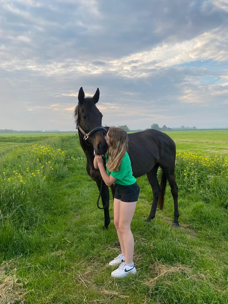 Lieve merrie te koop, Dieren en Toebehoren, Paarden, B, 7 tot 10 jaar, 160 tot 165 cm, Recreatiepaard