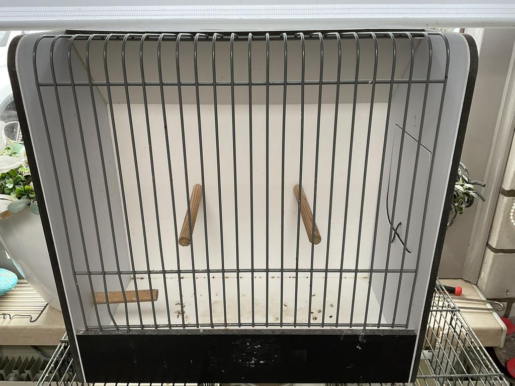 TT KOOIE 10 stuks, Ophalen, Zo goed als nieuw, Hout, Vogelkooi