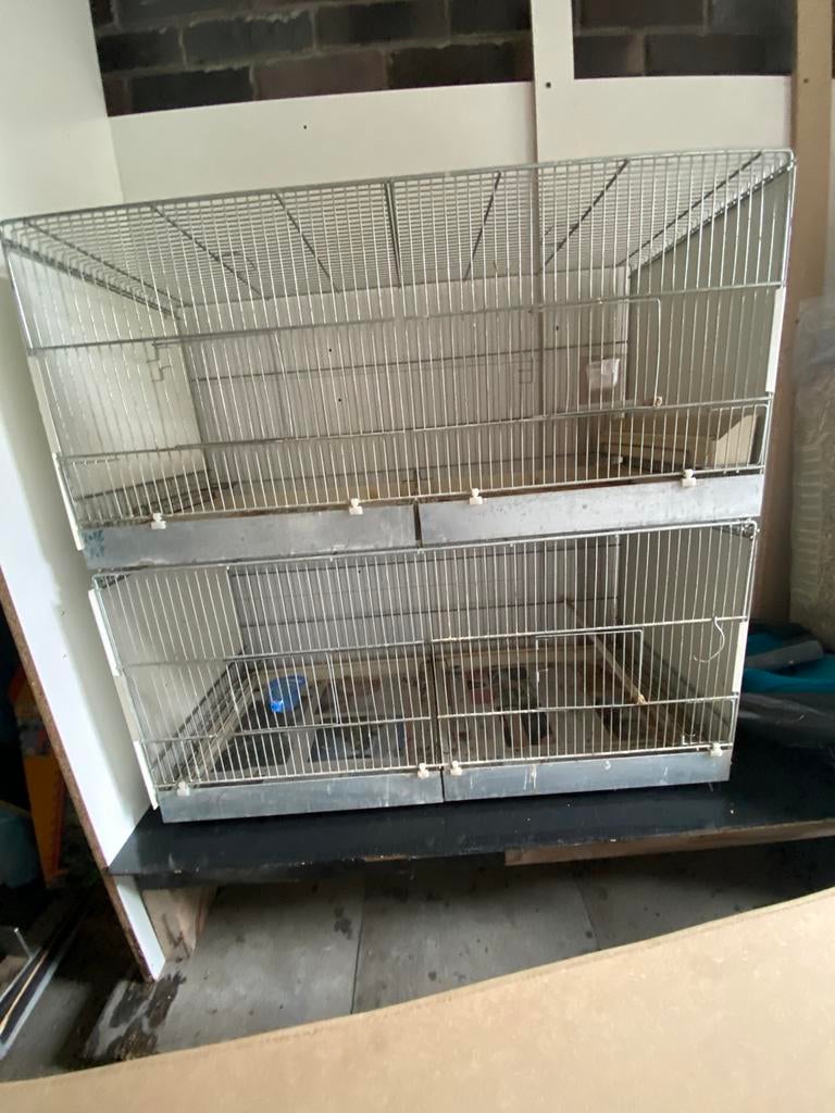 Keweek/broedkooien, Ophalen of Verzenden, Zo goed als nieuw, Broedkooi of Kweekkooi