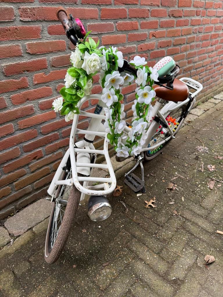 Zonix meisjesfiets, Ophalen of Verzenden, Gebruikt, 20 inch, Handrem