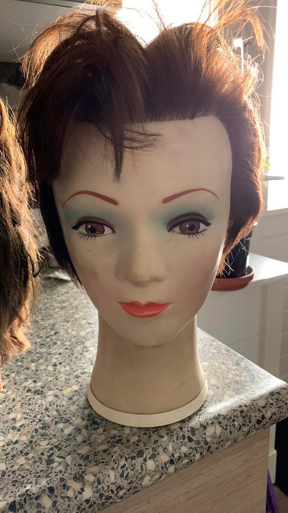 Kapperskoppen, Ophalen of Verzenden, Zo goed als nieuw, Boek