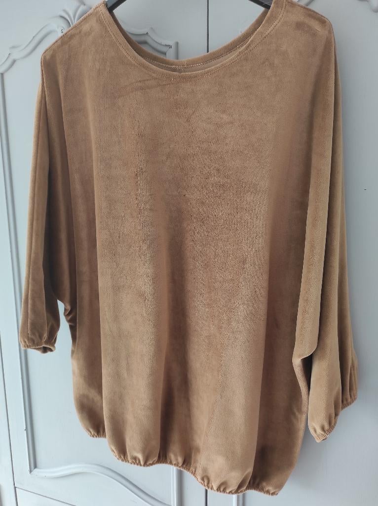 Velours shirt maat 44 nr1, Ophalen of Verzenden, Zo goed als nieuw, Maat 42/44 (L), Bruin