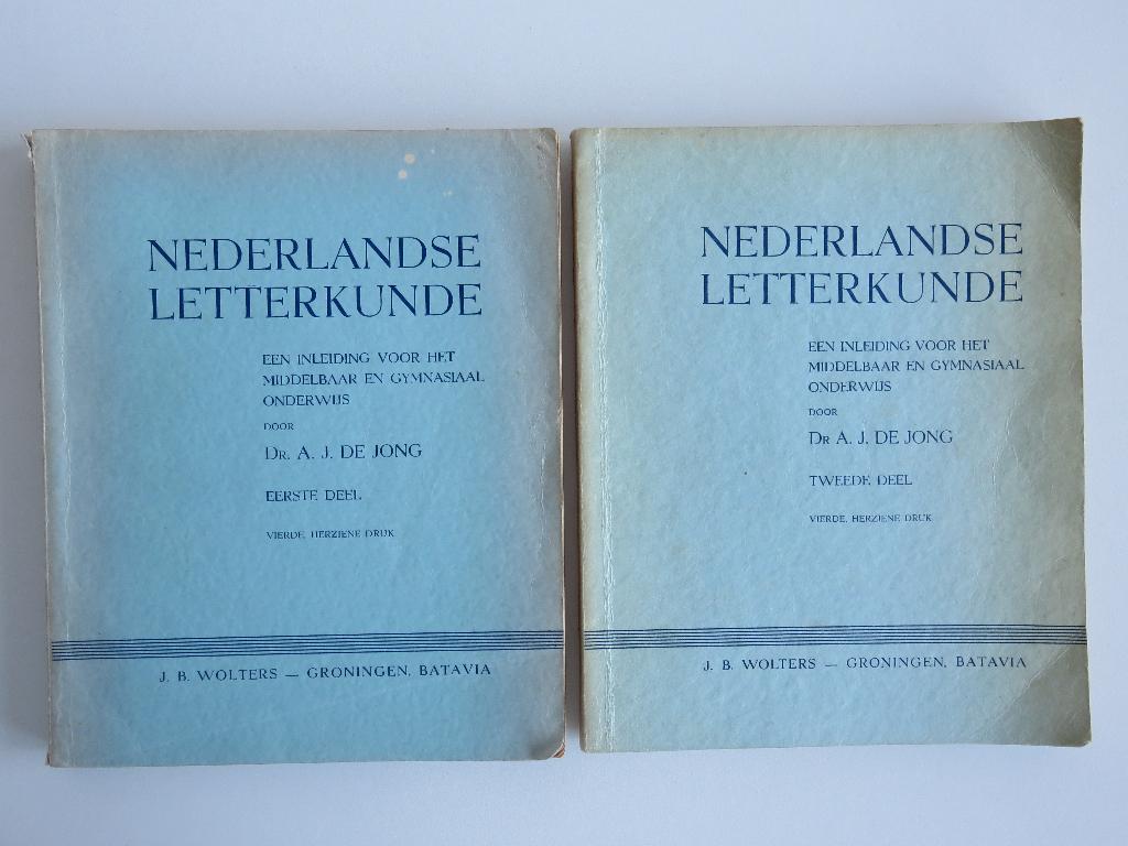 nederlandse letterkunde Een inleiding deel 1 en 2, Boeken, Ophalen of Verzenden, Gelezen, Nederland