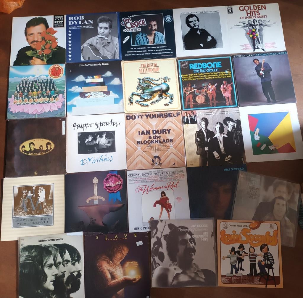 481 ROCK/POP/SOUL/JAZZ/70'S/NEW WAVE LP'S €5 PER STUK, Ophalen of Verzenden, Gebruikt, 12 inch, Poprock