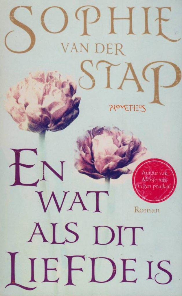 En wat als dit liefde is - Sophie van der Stap, Gelezen, Sophie van der Stap, Ophalen of Verzenden, Nederland