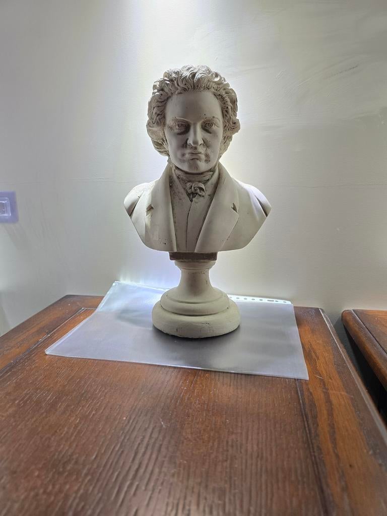 Buste van Beethoven, Ophalen of Verzenden, Steen of Keramiek, Buste, 20 - 50 cm