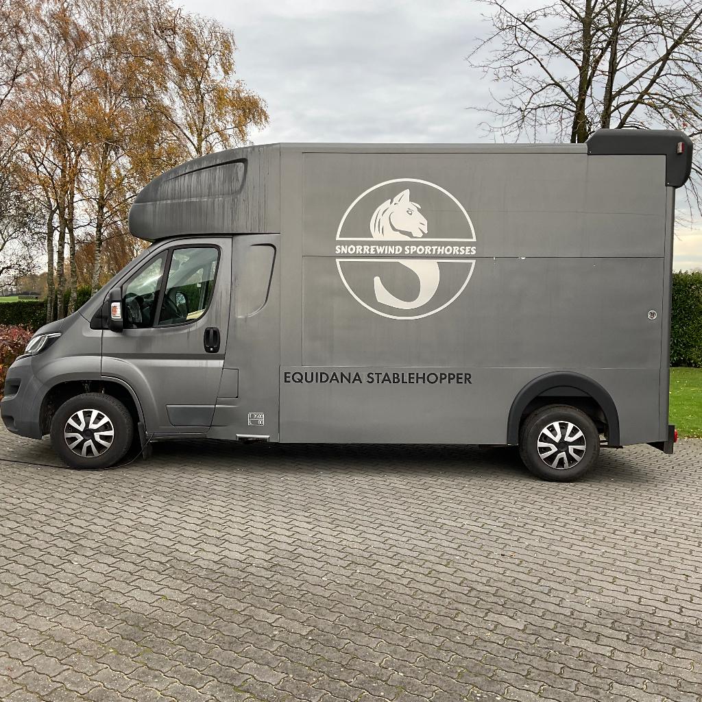 Paardenwagen Peugeot Boxer Equidana, Ophalen, Gebruikt, Overige materialen, 2-paards trailer