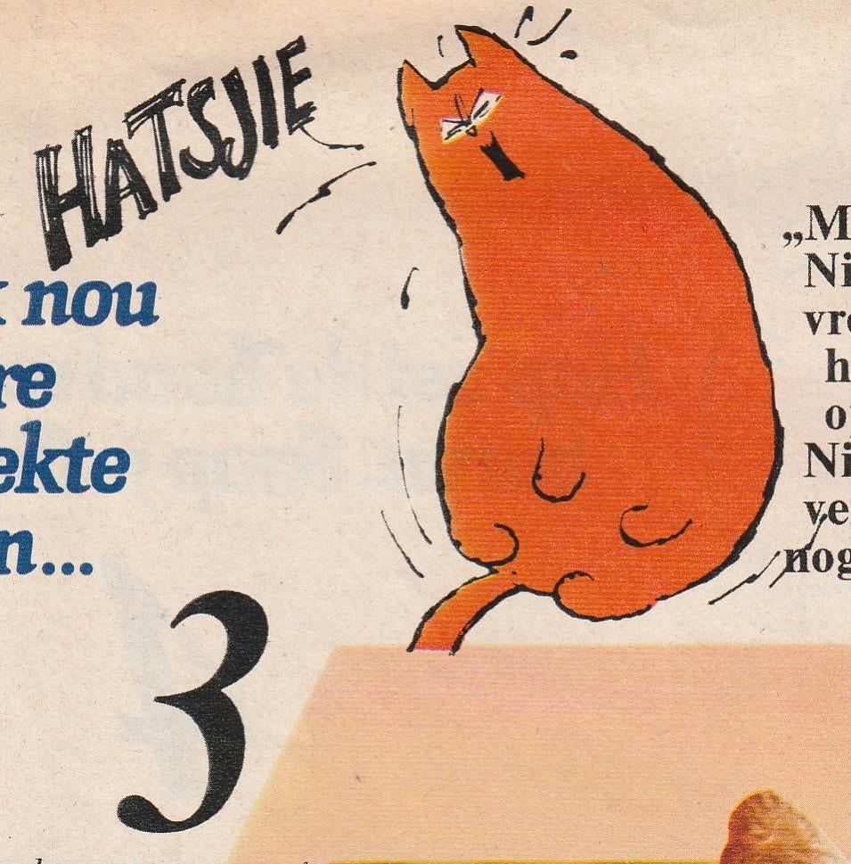 Vintage knipsel 1978 Jan Jans Kinderen over Rode Kater, Verzamelen, Verzenden, Overige typen