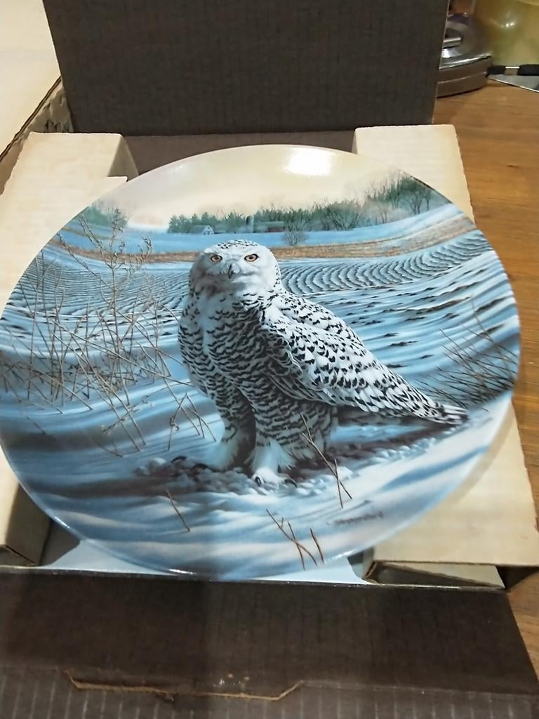 Zeldzaam wandbord. The snowy Owl. Edwin M. Knowles, Ophalen of Verzenden