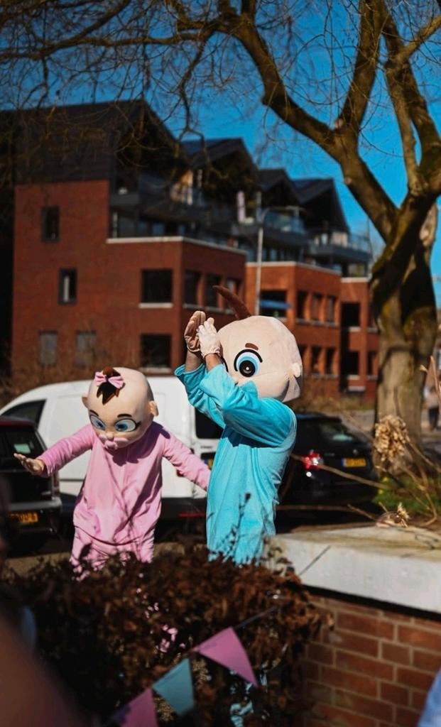Te huur Gender reveal costuum, Ophalen of Verzenden, Geboorte of Huwelijk