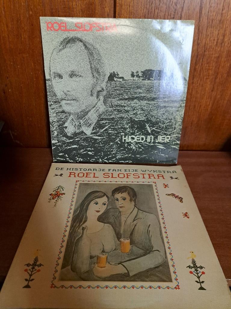 Roel Slofstra Folk Friesland, Cd's en Dvd's, Ophalen of Verzenden, Gebruikt, 12 inch, Streekmuziek