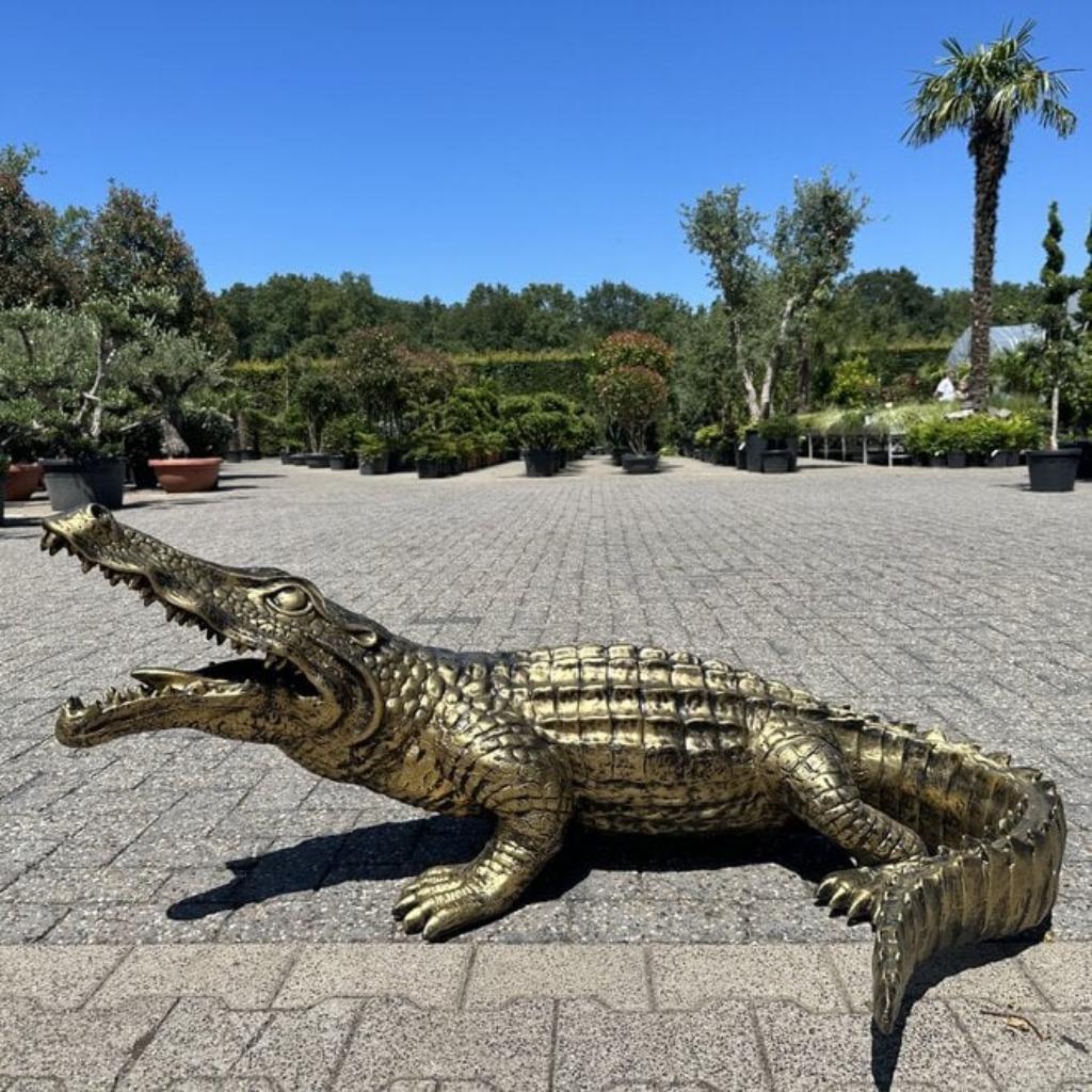 Brons - goud kleurig krokodil beeld, Ophalen of Verzenden, Nieuw, Kunststof, Dierenbeeld