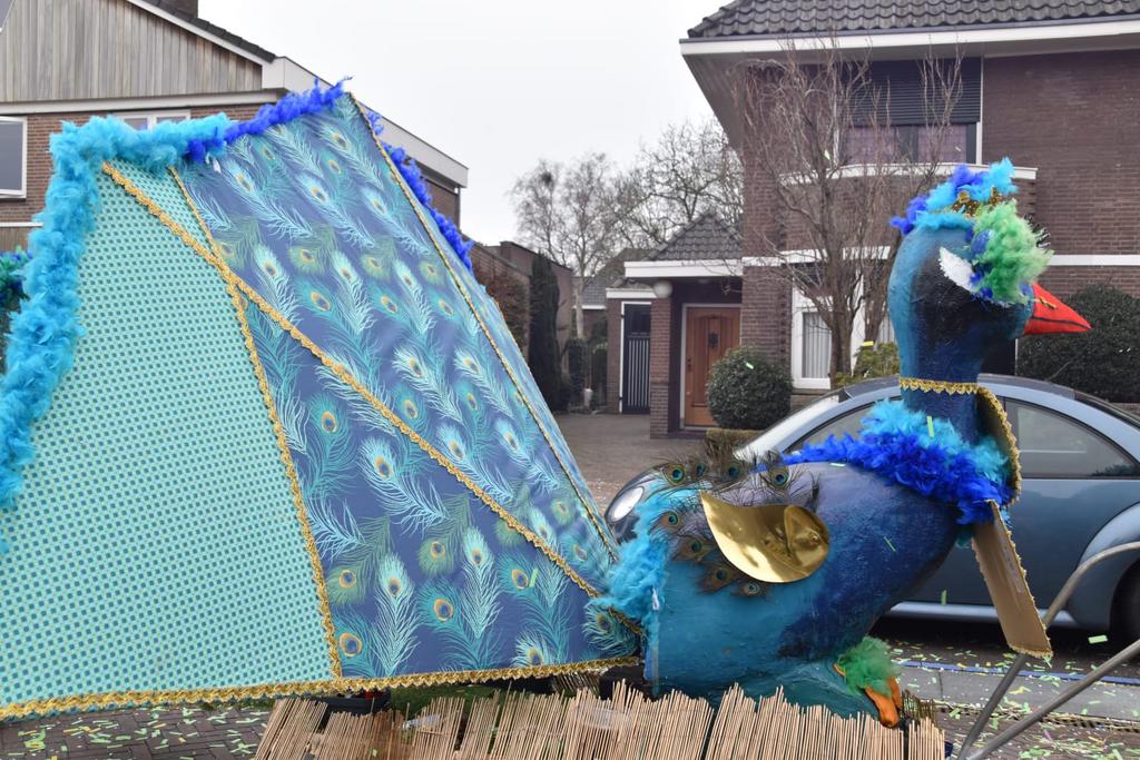 Loopgroep carnaval 6 personen, Hobby en Vrije tijd, Feestartikelen, Zo goed als nieuw, Carnaval, Ophalen