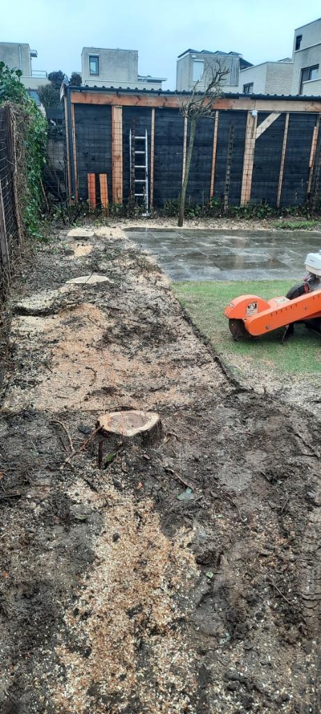 Boomstronk verwijderen stobbenfrezen stronk verwijderen boom, Tuinonderhoud of Snoeiwerk