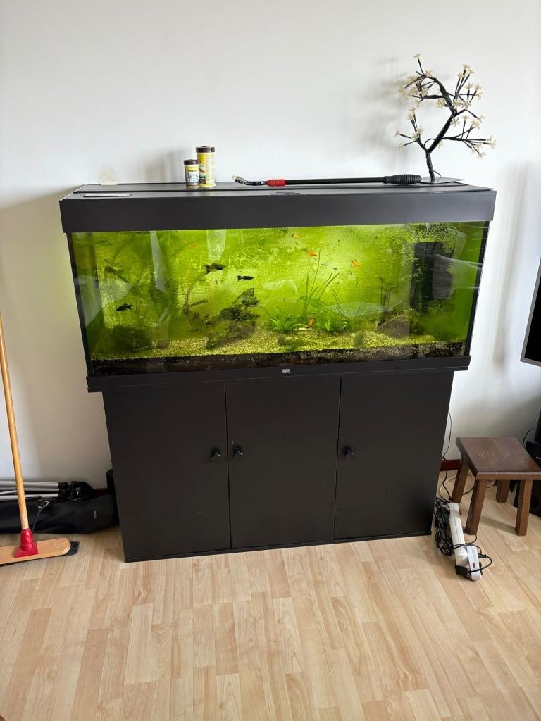 Aquarium, Ophalen, Gebruikt, Gevuld zoetwateraquarium