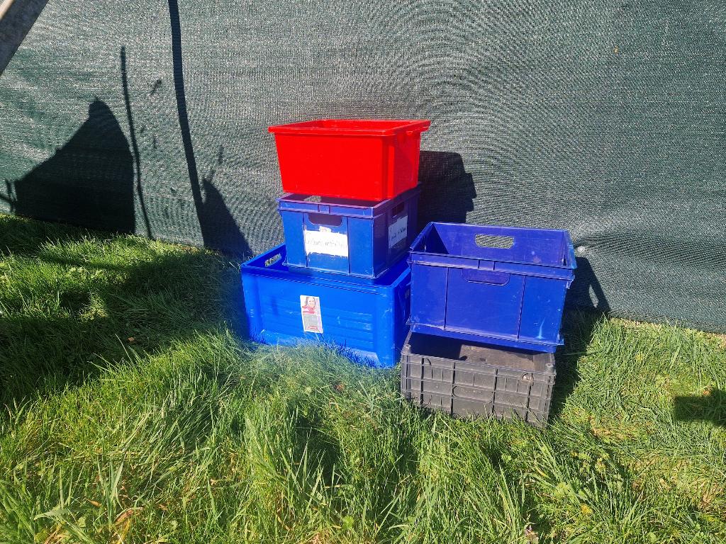 5 verschillende Kratten, Ophalen, Gebruikt, 40 tot 60 cm, 50 tot 75 cm