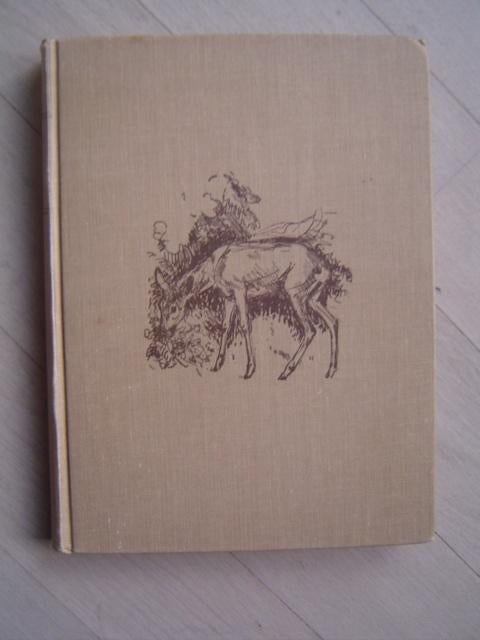 Op de bergwei  Hermann Lons  jacht jagen, Boeken, Natuur, Ophalen of Verzenden, Gelezen, Vogels