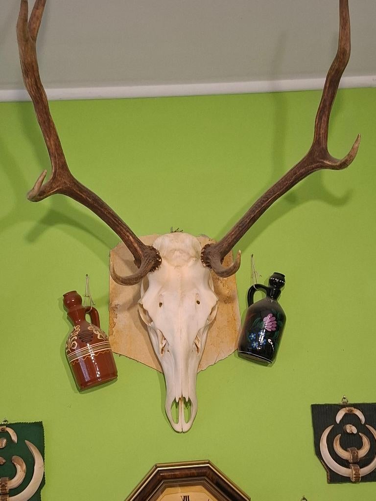 Herten geweien en oud kristal, Verzenden