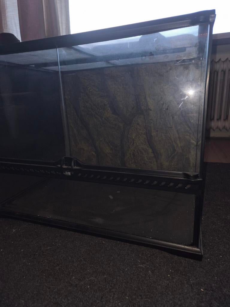 Terrarium, Hagedis, 0 tot 2 jaar