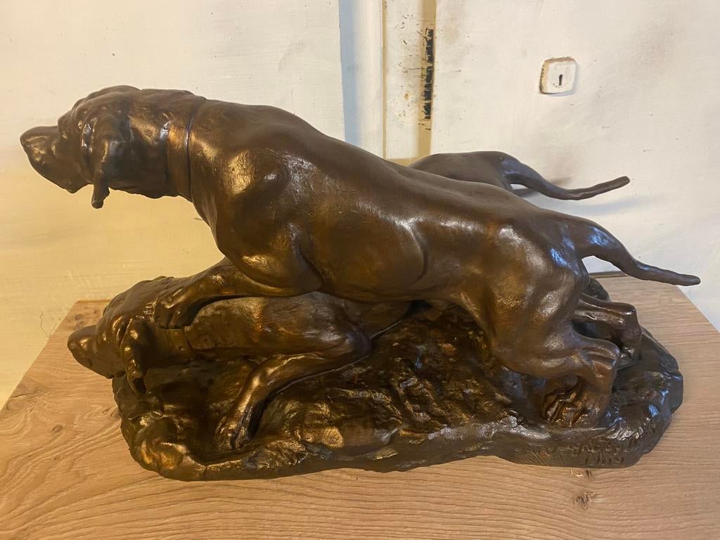 Honden, Ophalen of Verzenden