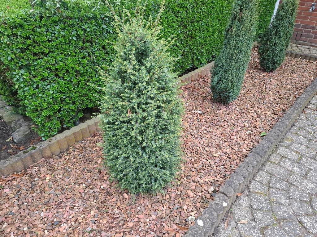 42 m2 Tuin grind, gratis, Tuin en Terras, Grind, Keien en Split, Ophalen of Verzenden, Gebruikt