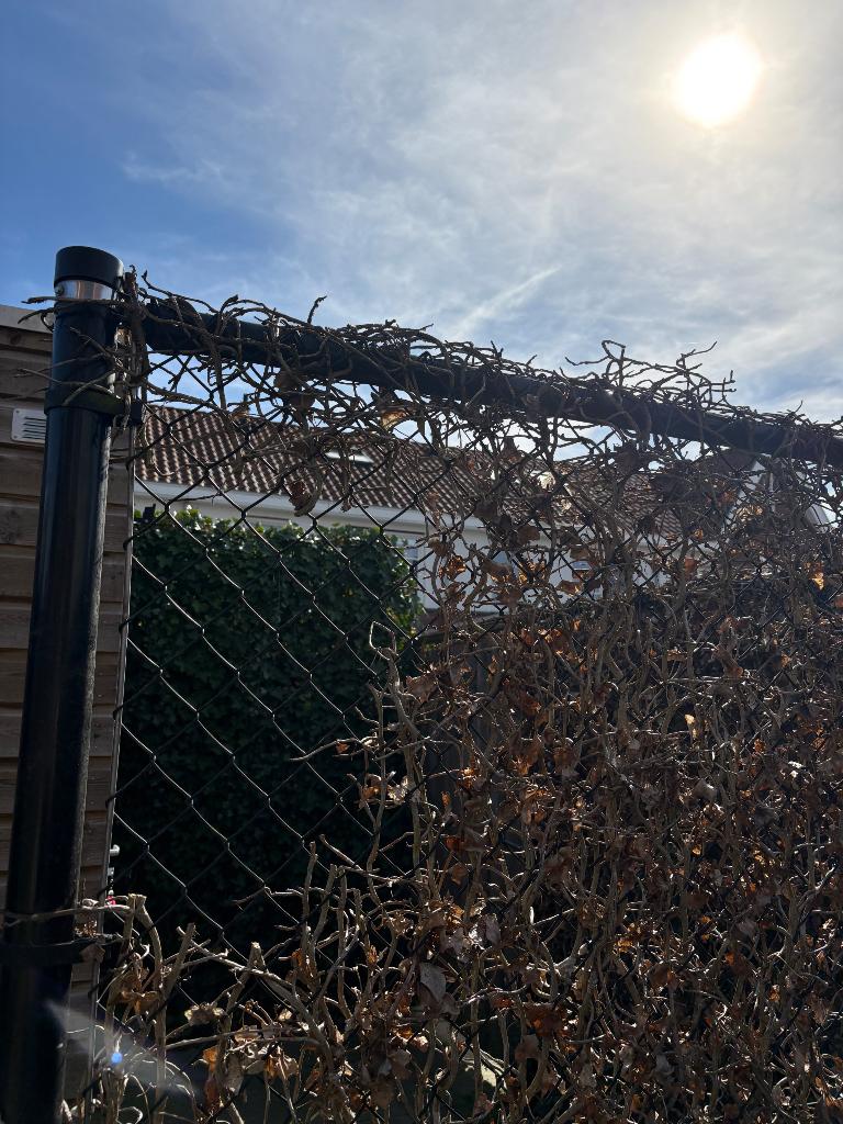 Gaashekwerk zwart, Tuin en Terras, Tuinhekken en Hekwerk, Gebruikt, Gaashekwerk, IJzer, Ophalen