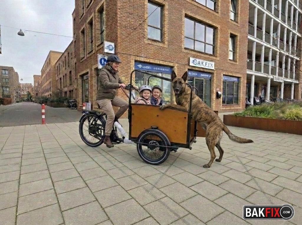 Hondenbakfiets geschikt voor grote honden, Overige merken, Gebruikt, Huif, Onbekend