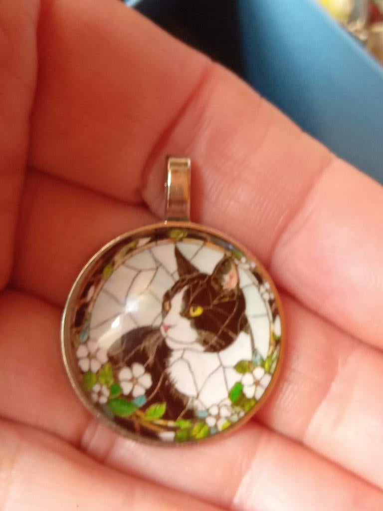 Prachtige Poes Hanger - Kattenliefhebber Must-Have!, Overige materialen, Zwart, Nieuw, Ophalen of Verzenden