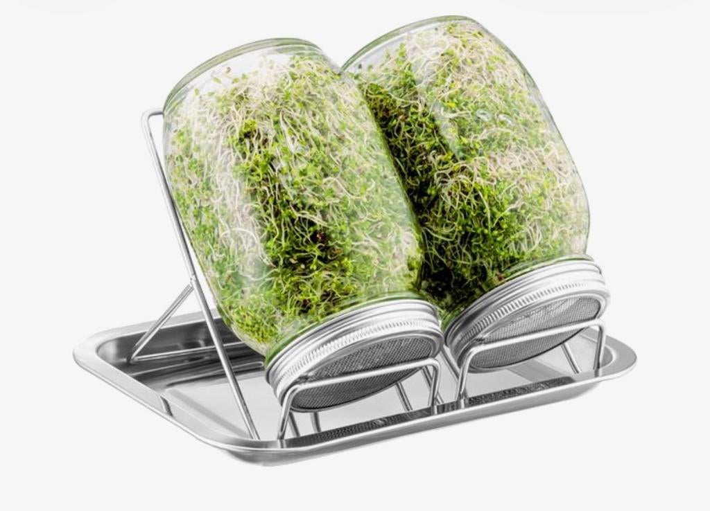 Kiempotten kiemen kiem potten kweekpotten, Ophalen of Verzenden, Nieuw, Overige typen