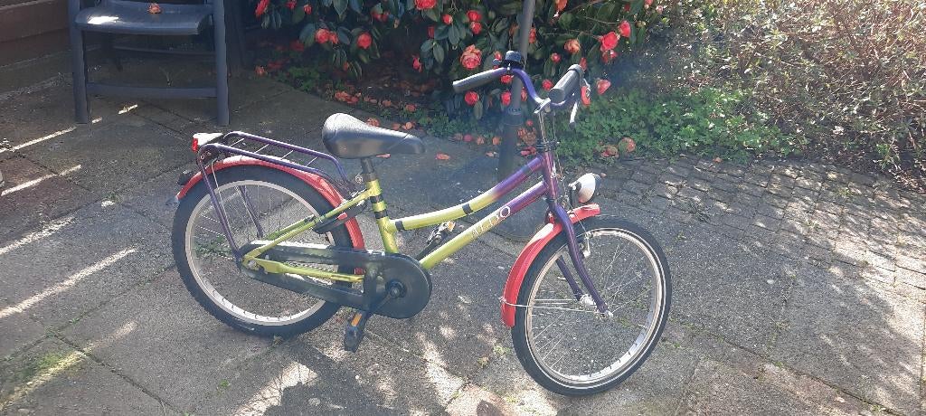 Meisjesfiets 20 inch, Gebruikt, Handrem, 20 inch, Ophalen