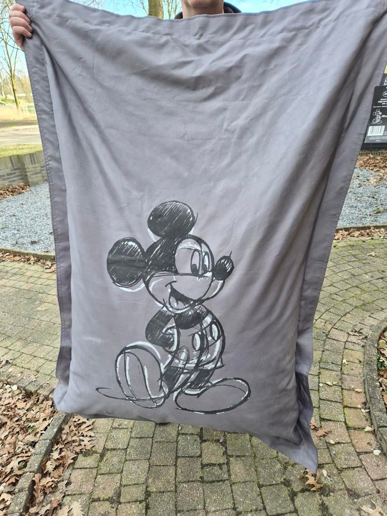 Nieuwe Disney Zitzak Mickey Mouse Grijs, Huis en Inrichting, Ophalen, Nieuw, Grijs, Zitzak