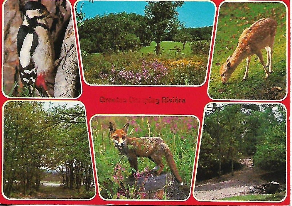 Biddinghuizen- -6-luik, Rivièra Camping., Verzenden, 1960 tot 1980, Gelopen, Flevoland