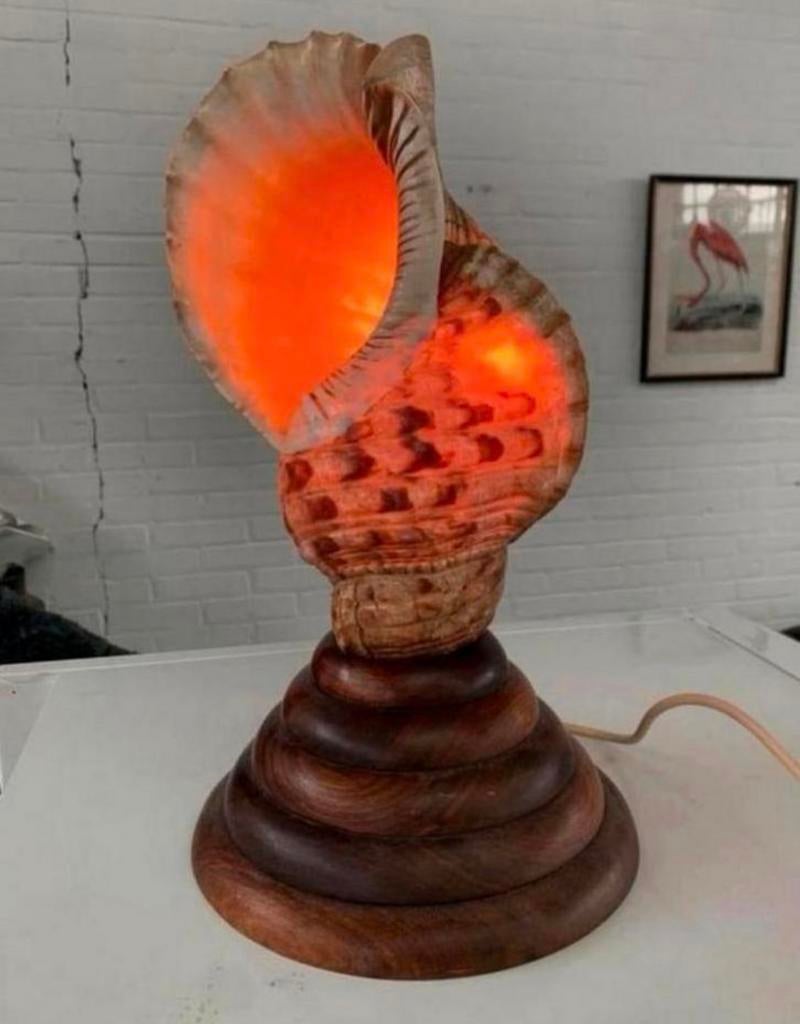 Lamp schitterende antieke Schelpen lamp tafellamp, Antiek en Kunst, Ophalen of Verzenden