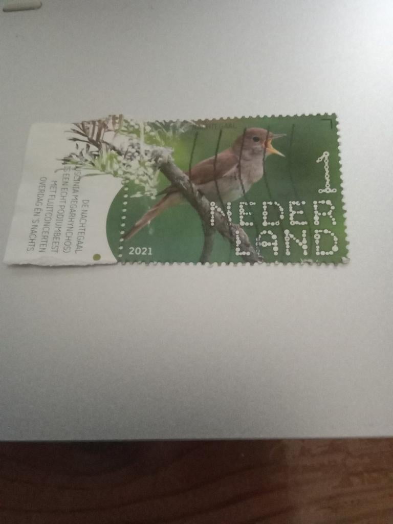 Nederland postzegel 2021 - Nachtegaal, Ophalen of Verzenden, Na 1940, Postfris