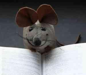 div Blackbirds, early, young ea engelse boeken voor jeugd, Boeken, Taal | Engels, Ophalen of Verzenden, Zo goed als nieuw, Fictie