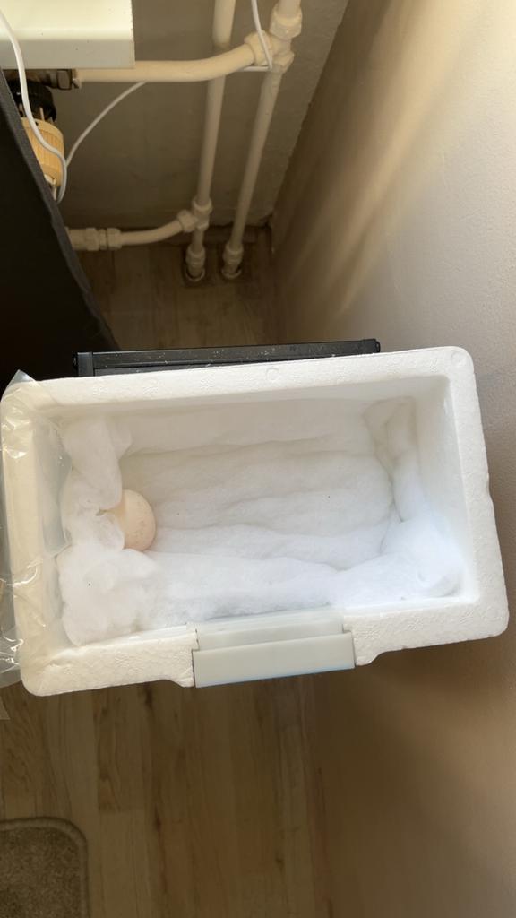 Broedbak voor duiven en kippen, Ophalen, Eten en Drinken