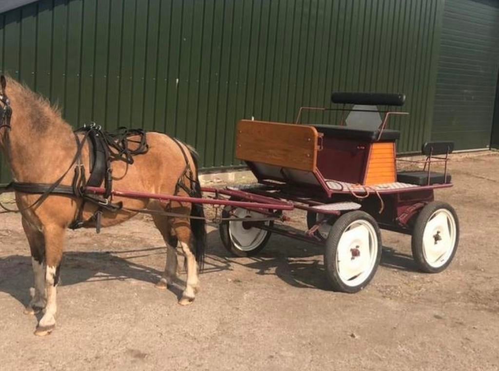 Te koop pony menwagen, Ophalen, Zo goed als nieuw, Overige soorten