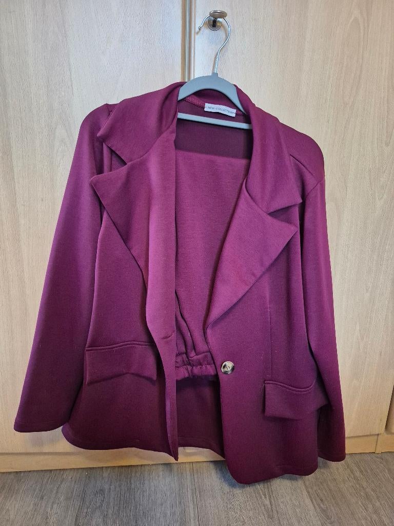 Aangeboden mooi damespak maat L colbert plus broek, Kostuum of Pak, Overige kleuren, Maat 42/44 (L), Ophalen of Verzenden