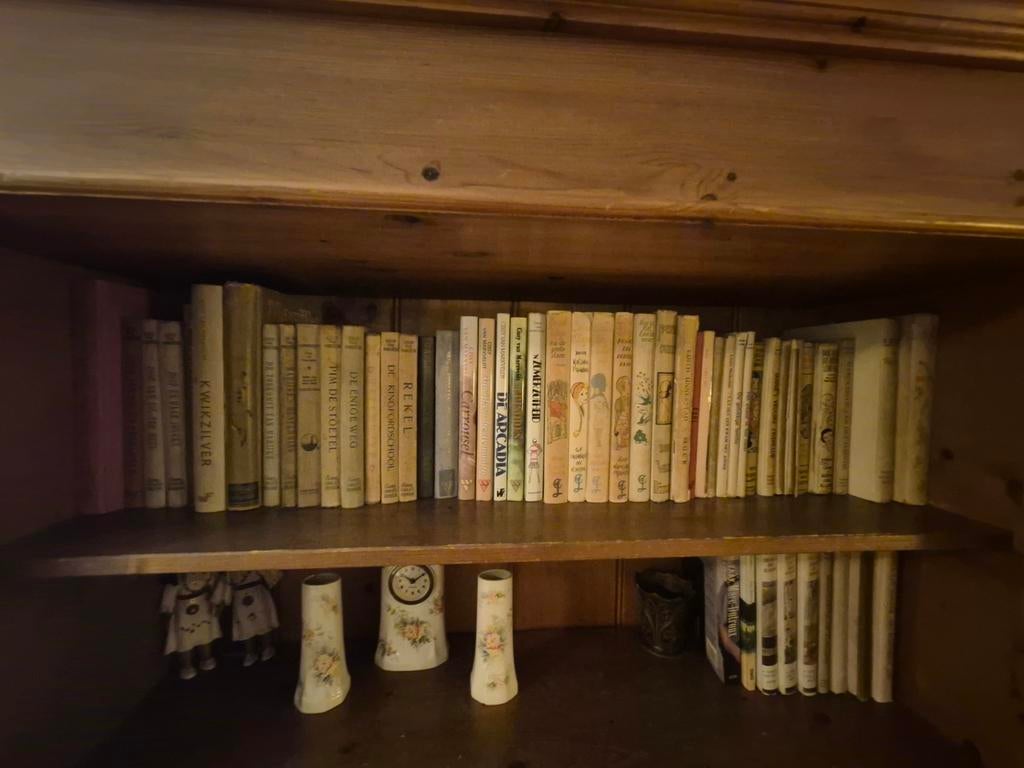 Meisjesboeken jaren '30-'50, Joop ter Heurt, Goud Elsje, Boeken, Ophalen of Verzenden, Gelezen, Fictie algemeen
