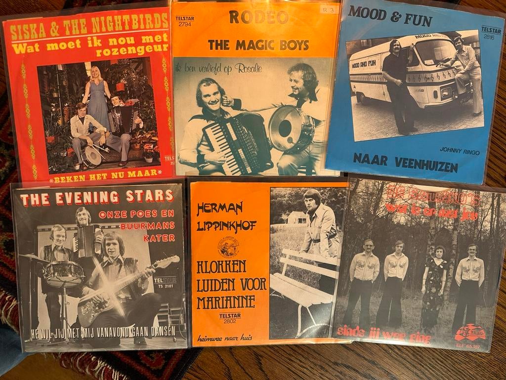 Verzamelaar zoekt Singles & lp’s, Cd's en Dvd's, Vinyl Singles, Gebruikt, Nederlandstalig, Ophalen